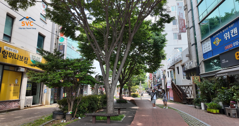 Điều kiện du học H&agrave;n Quốc gồm những g&igrave;