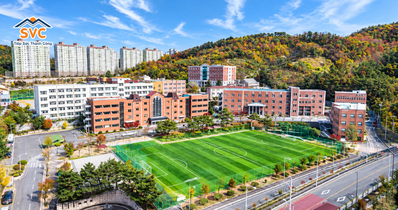 Tổng quan trường Đại học Daeshin từ du học SVC