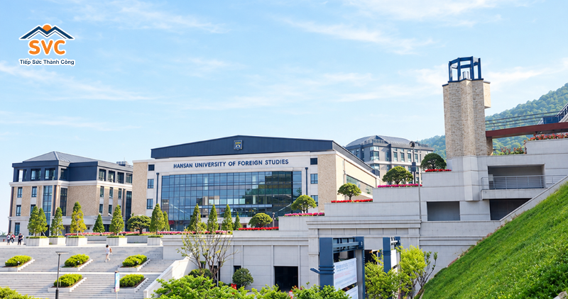 Tổng quan trường Đại học Ngoại ngữ Busan từ du học SVC