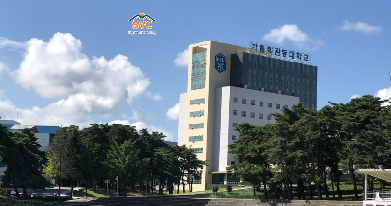 Tổng quan trường Đại học Catholic H&agrave;n Quốc