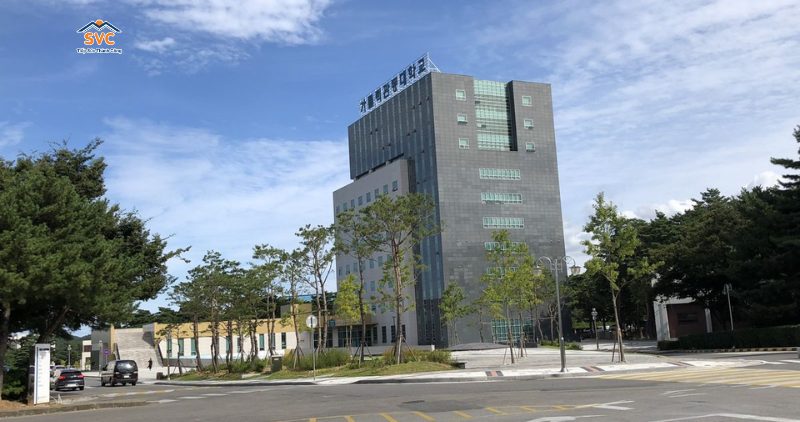 Học bổng trường Đại học Catholic H&agrave;n Quốc