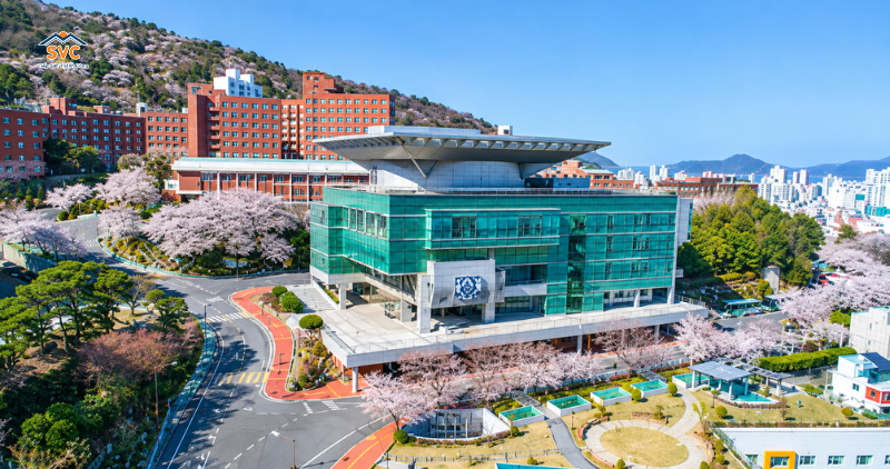 L&yacute; do chọn trường Đại học Kyungnam