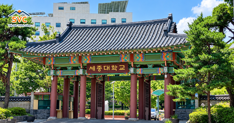 Học ph&iacute; trường Đại học Sejong