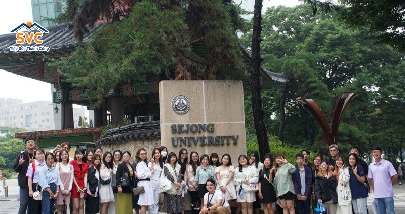 Chương tr&igrave;nh đ&agrave;o tạo của Đại học Sejong