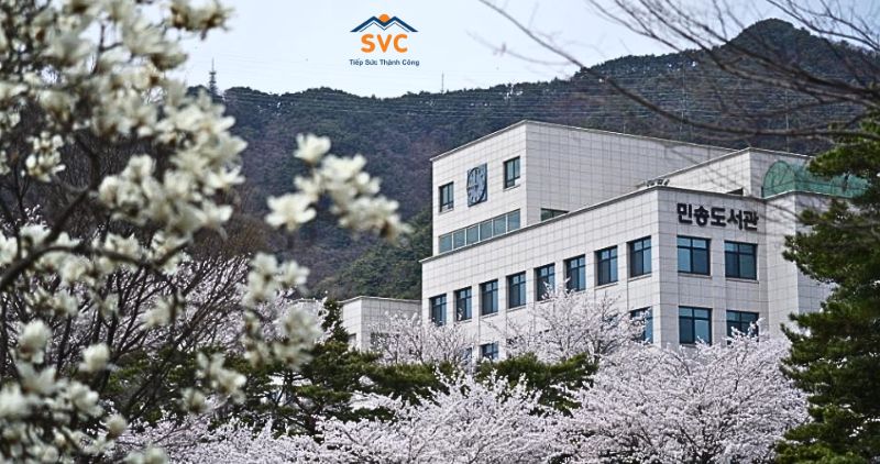 L&yacute; do chọn trường Đại học Semyung H&agrave;n Quốc