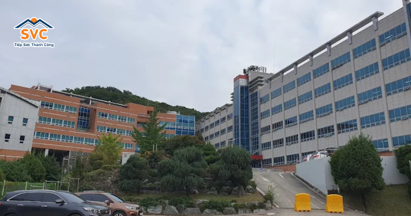 Chương tr&igrave;nh đ&agrave;o tạo của Đại học Sungkyul cập nhật từ du học svc