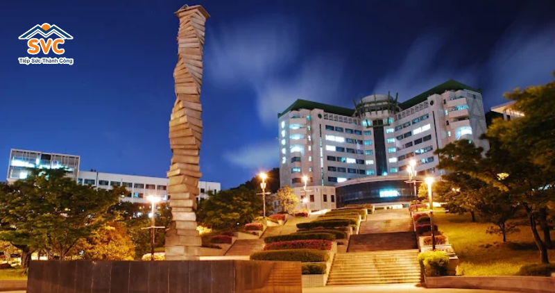 Tổng quan trường đại học Tongmyong H&agrave;n Quốc