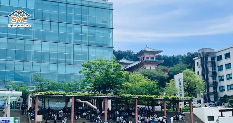 Học ph&iacute; trường đại học Tongmyong H&agrave;n Quốc