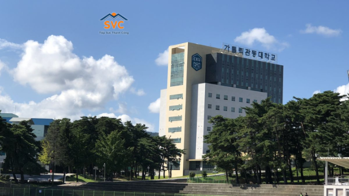 Đại học Catholic Hàn Quốc – Cánh cửa vào ngành Y khoa danh tiếng xứ sở kim chi
