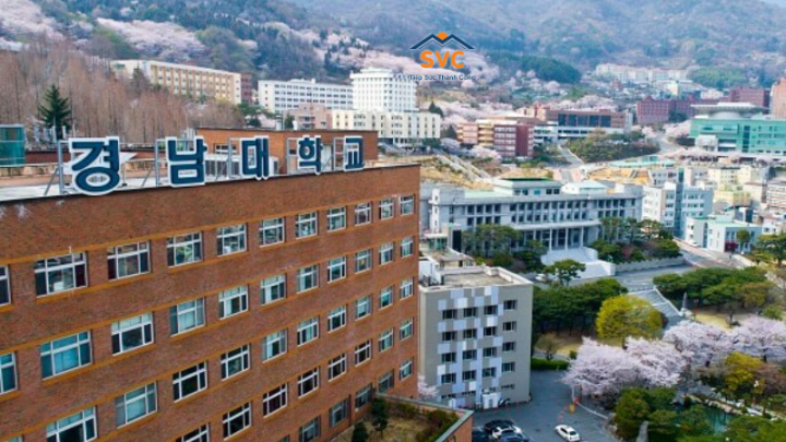 Đại học Kyungnam Hàn Quốc – Điểm đến du học với mạng lưới hợp tác quốc tế rộng khắp