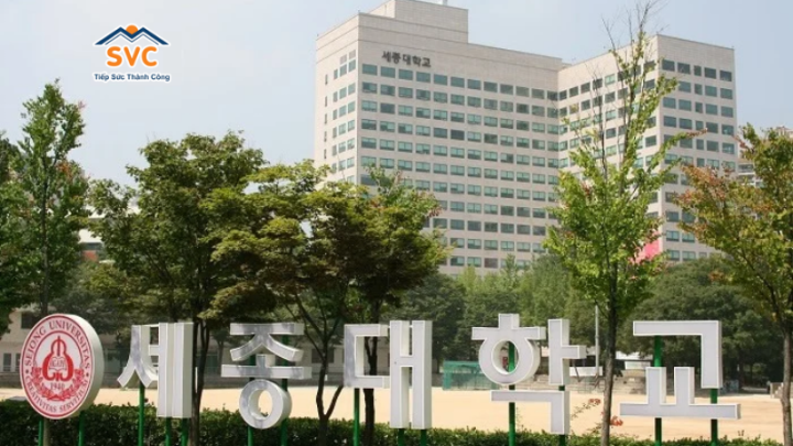 Trường Đại học Sejong Hàn Quốc: Ngôi trường thế mạnh về Quản trị và Du lịch