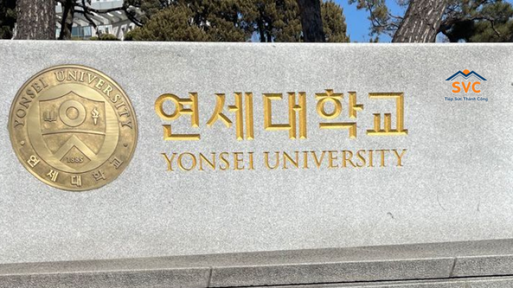 Đại học Yonsei Hàn Quốc: Học phí, học bổng và điều kiện tuyển sinh 2026