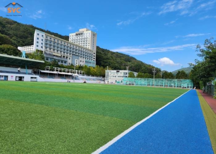 Đại học Inha: Chất Lượng Giáo Dục Nổi Bật