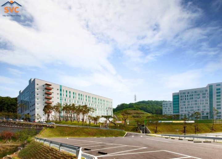 Đại học Joongbu: Chất Lượng Giáo Dục Tạo Nên Khác Biệt