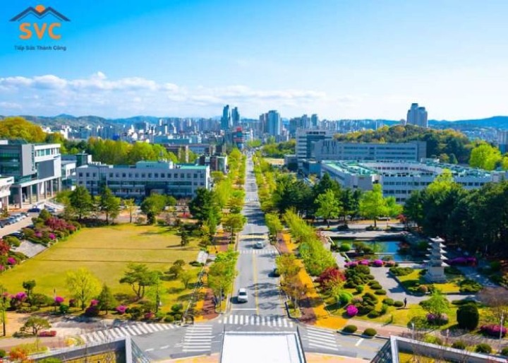 Đại học Quốc gia Chungnam: Môi Trường Giáo Dục Toàn Diện